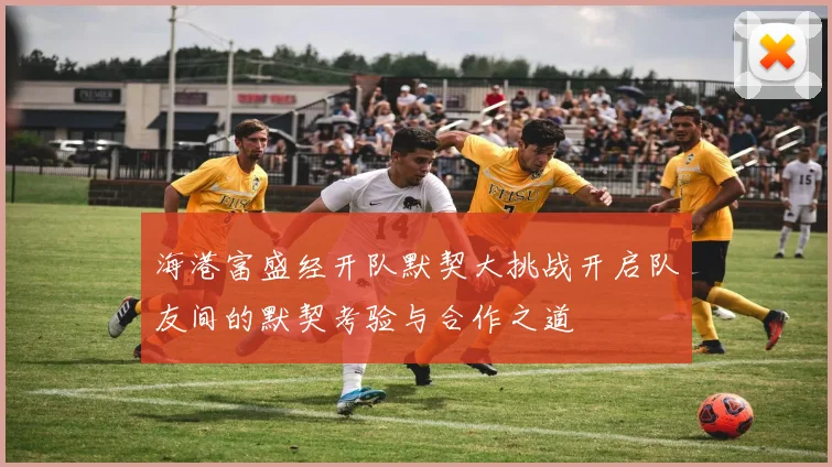 海港富盛经开队默契大挑战开启队友间的默契考验与合作之道