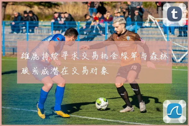 雄鹿持续寻求交易机会绿军与森林狼或成潜在交易对象