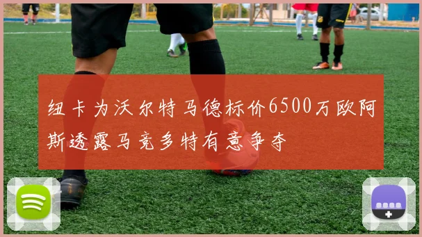 纽卡为沃尔特马德标价6500万欧阿斯透露马竞多特有意争夺