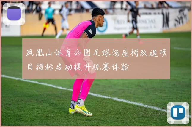 凤凰山体育公园足球场座椅改造项目招标启动提升观赛体验