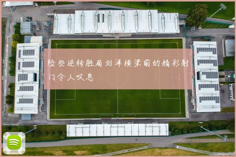 险些逆转胜局刘洋横梁前的精彩射门令人叹息